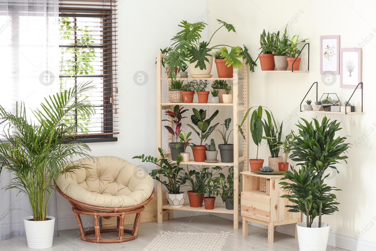 Photo of Stylish room interior with different home plants