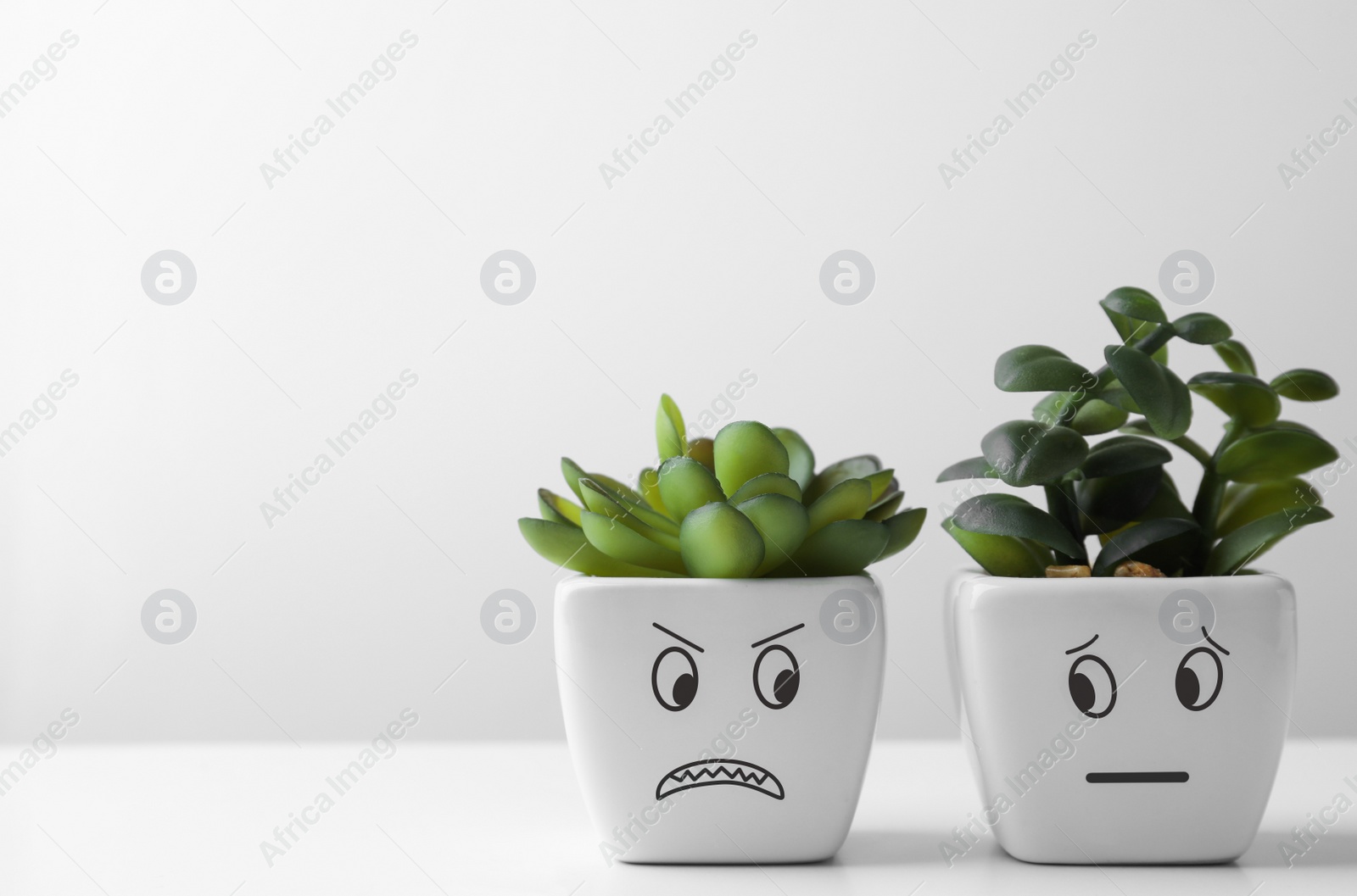 Photo of Beautiful potted houseplants with angry and concerned faces on white table, space for text. Emotional management