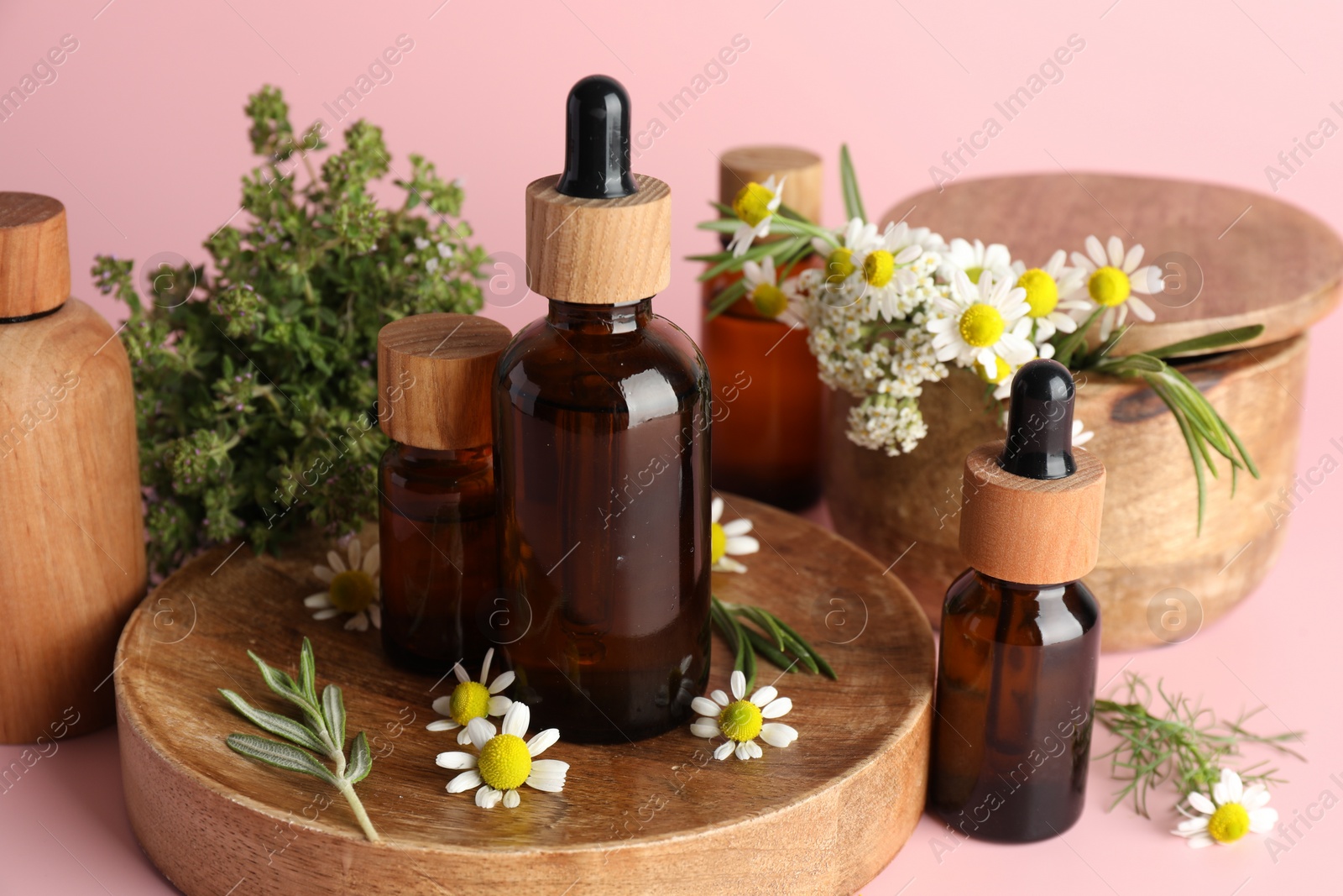 Photo of Aromatherapy. Different essential oils and flowers on pink background