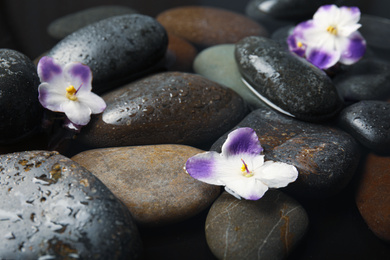 Photo of Stones and flowers in water as background, closeup. Zen lifestyle