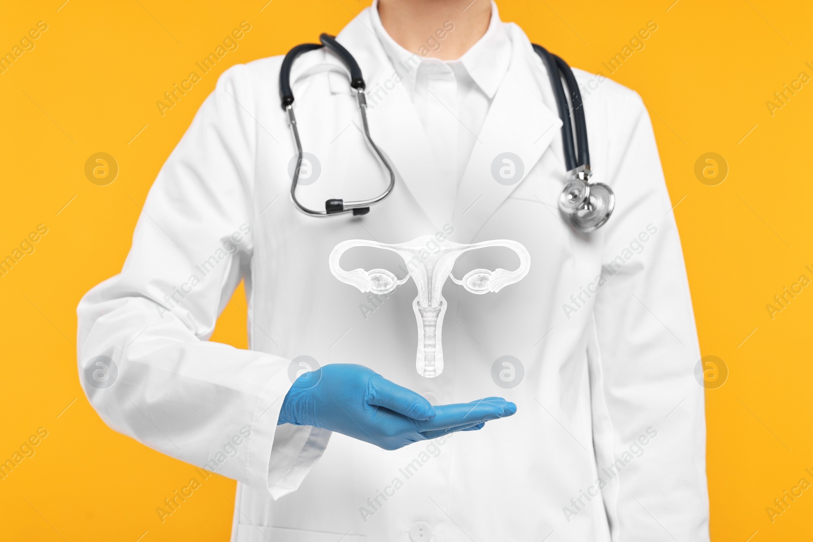 Image of Doctor and illustration of female reproductive system on orange background, closeup