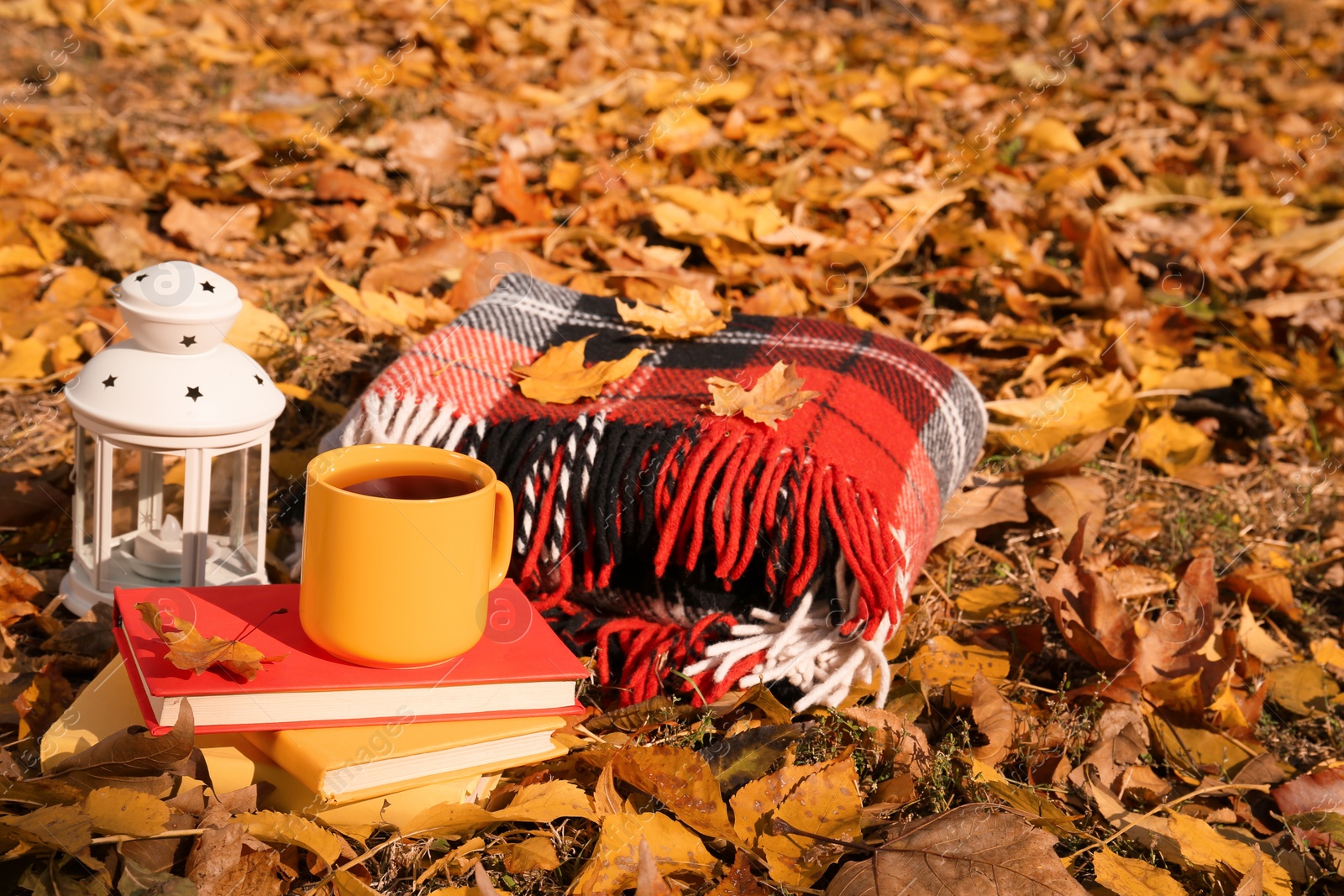 Photo of Plaid, cup of tea, lantern and books in park on sunny autumn day