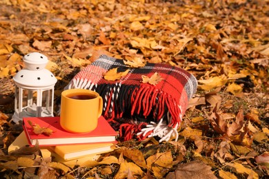 Plaid, cup of tea, lantern and books in park on sunny autumn day