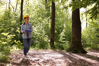 Photo of Forester with clipboard examining plants in forest