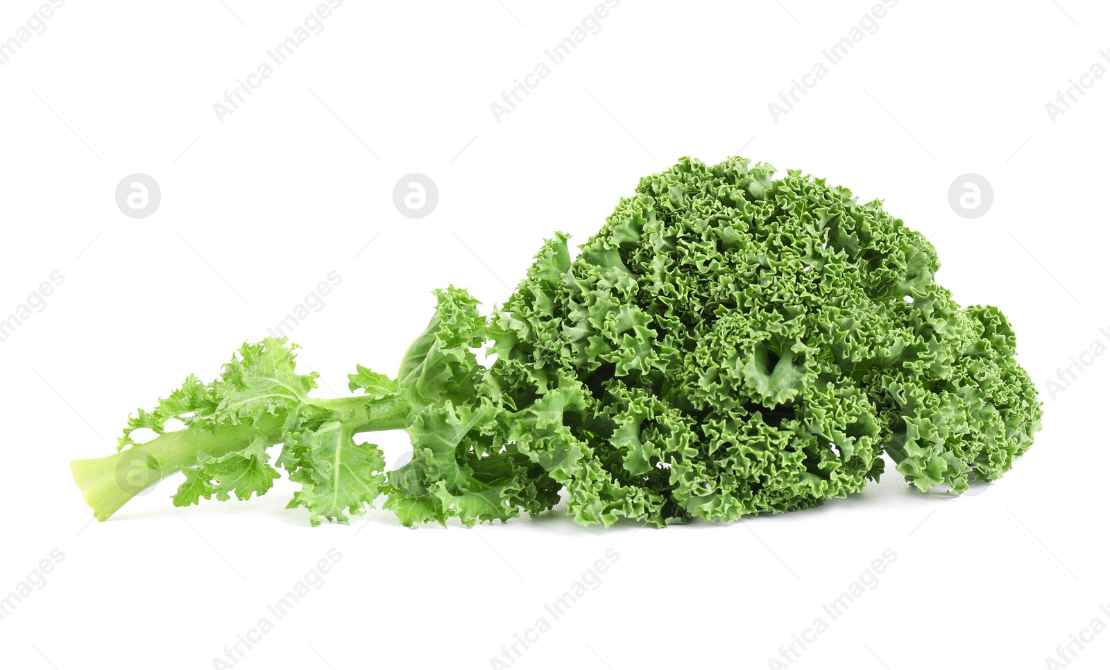 Photo of Fresh green kale leaf isolated on white