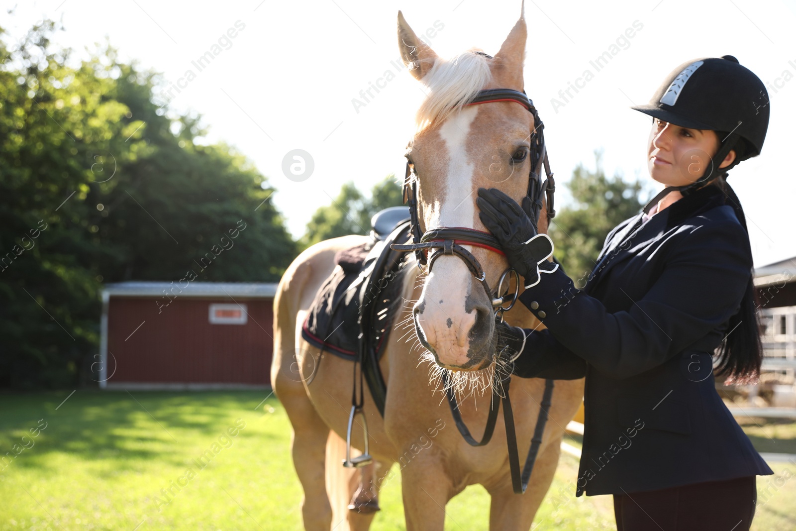 Photo of Young woman in horse riding suit and her beautiful pet outdoors on sunny day