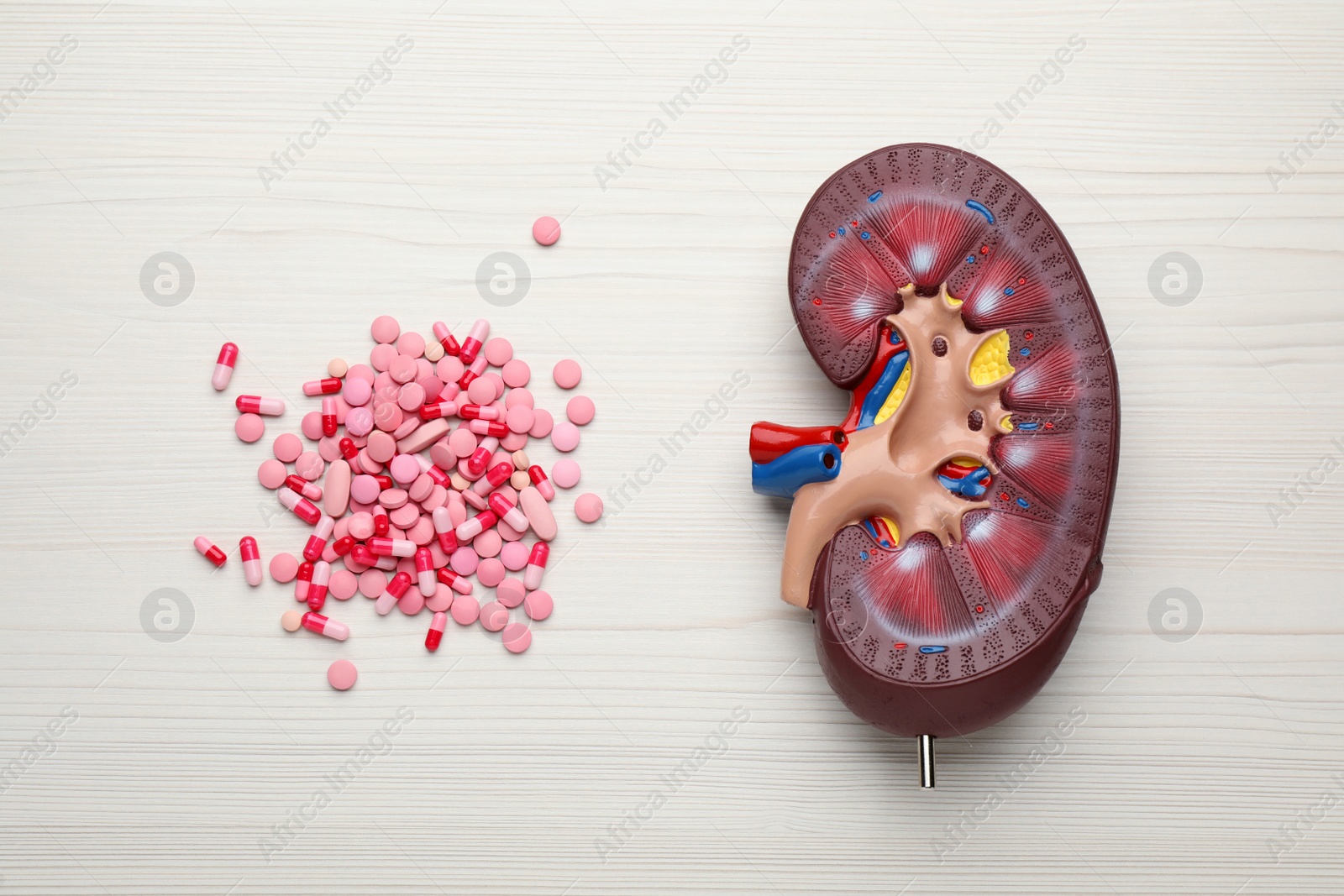 Photo of Kidney model and pills on white wooden table, flat lay