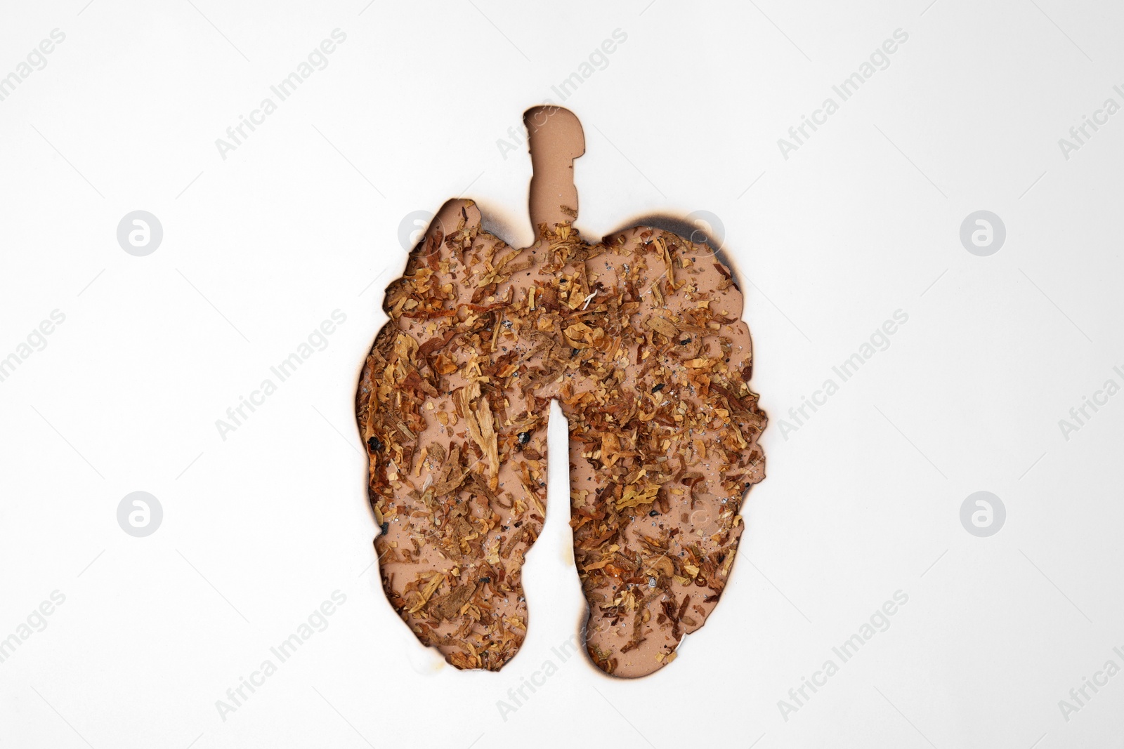 Photo of No smoking concept. Top view of dry tobacco through burned lungs shaped paper