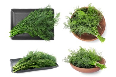 Collage with bunches of fresh dill isolated on white, top and side views