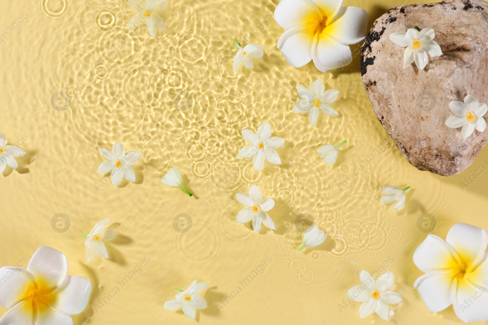 Photo of Beautiful flowers and stone in water on pale yellow background, top view