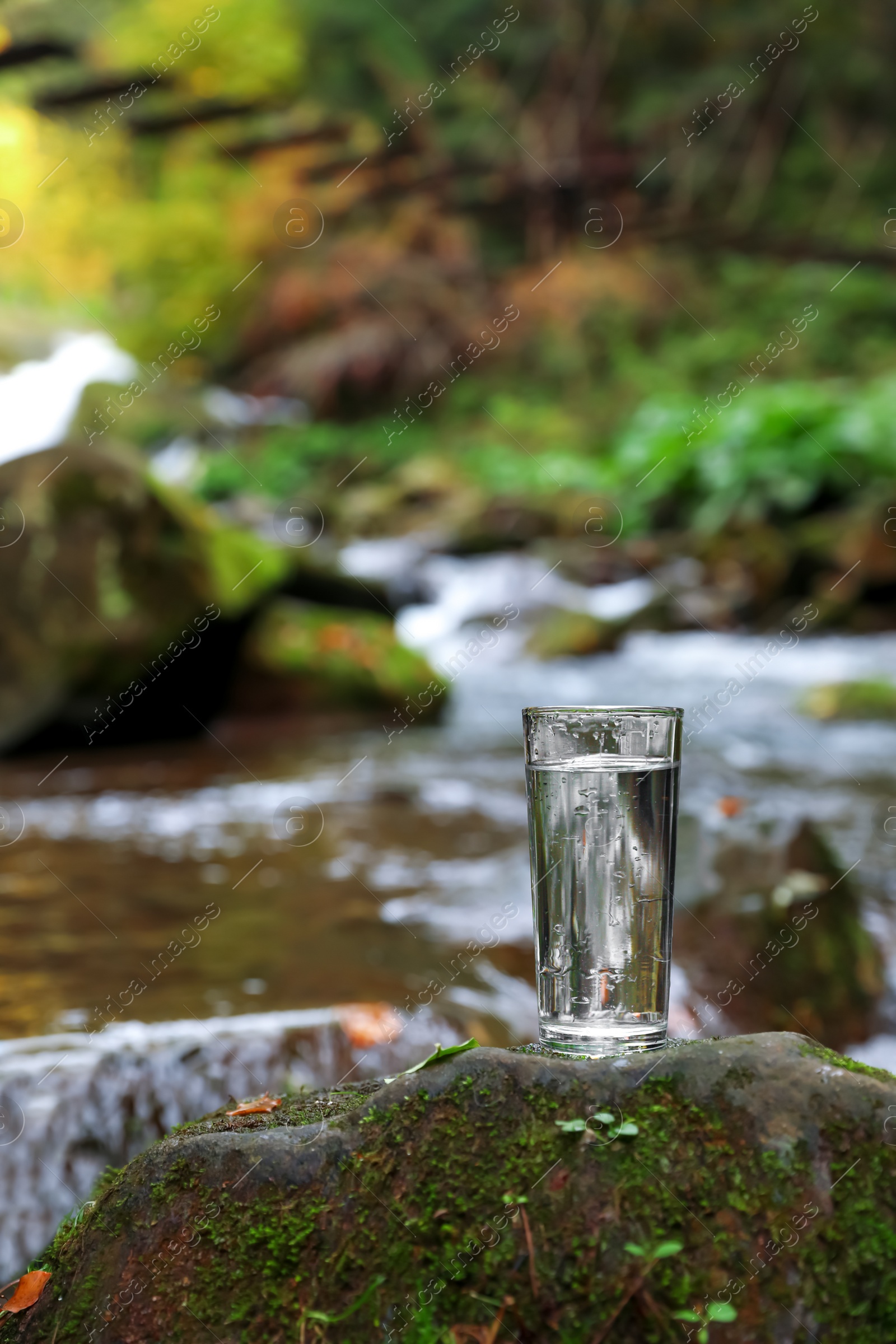 Photo of Glass of fresh water on stone with moss near stream. Space for text