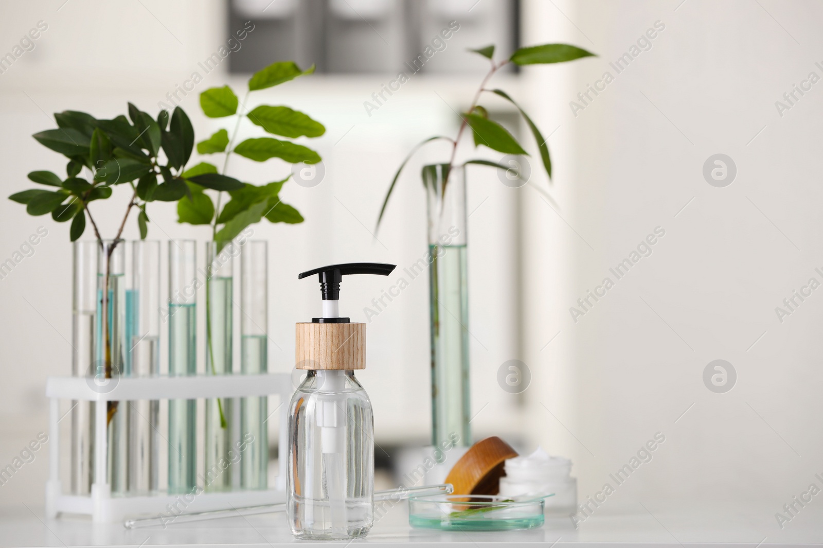 Photo of Bottle and glass tubes with leaves on white table indoors, space for text