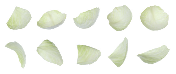 Image of Set of cabbage leaves on white background. Banner design