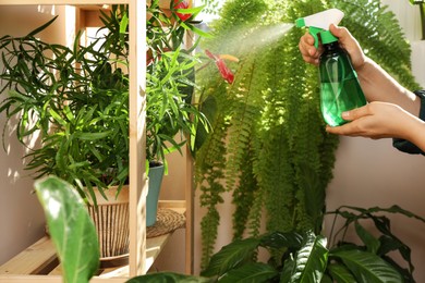 Photo of Woman spraying beautiful house plants with water indoors, closeup