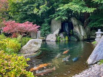 Photo of Beautiful different fishes swimming in zoological park