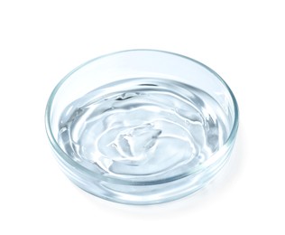 Petri dish with liquid on white background