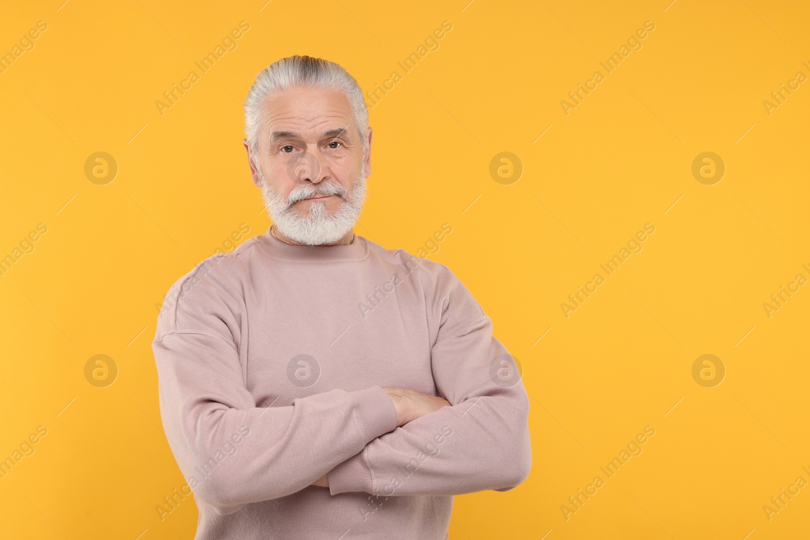Photo of Portrait of handsome senior man on orange background. Space for text