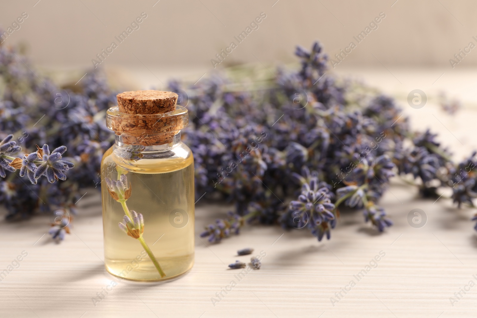 Photo of Bottle of essential oil and lavender flowers on white wooden table, closeup. Space for text