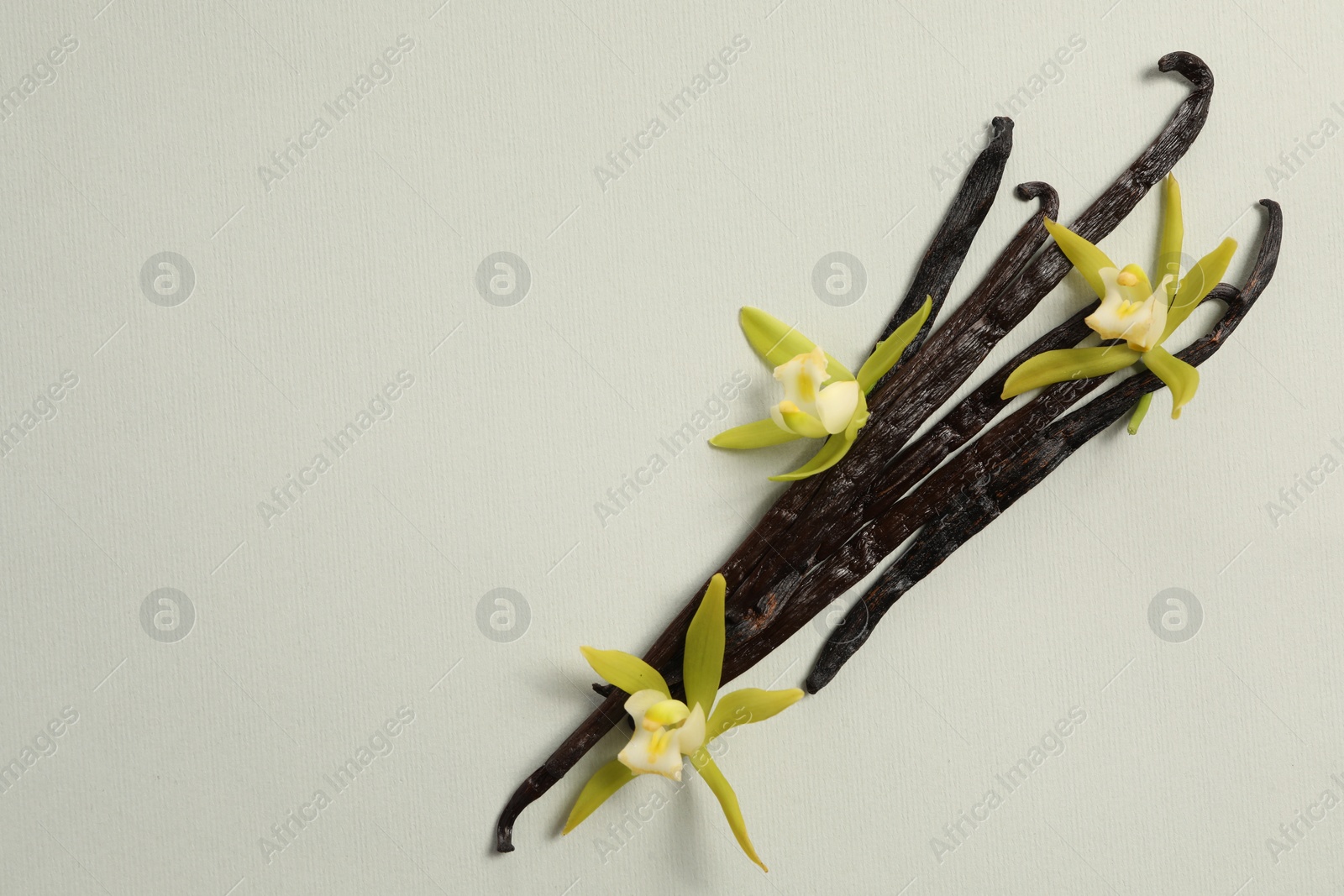 Photo of Vanilla pods and beautiful flowers on light grey background, top view. Space for text