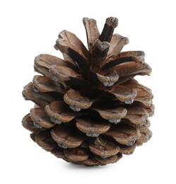 Beautiful dry pine cone isolated on white