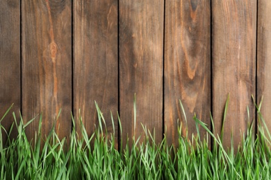 Photo of Fresh green grass near wooden fence. Space for text