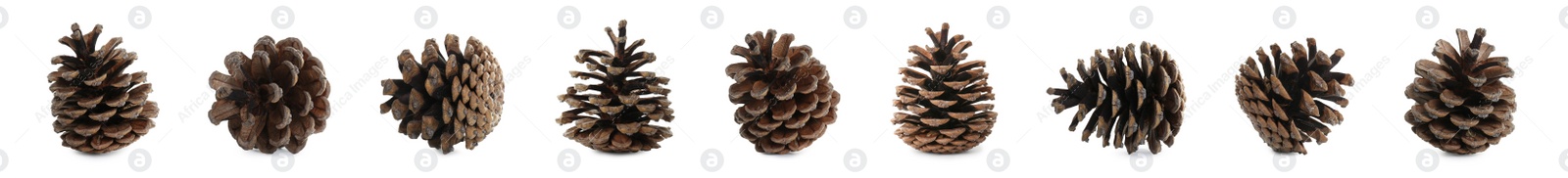 Image of Set with beautiful pine cones on white background. Banner design