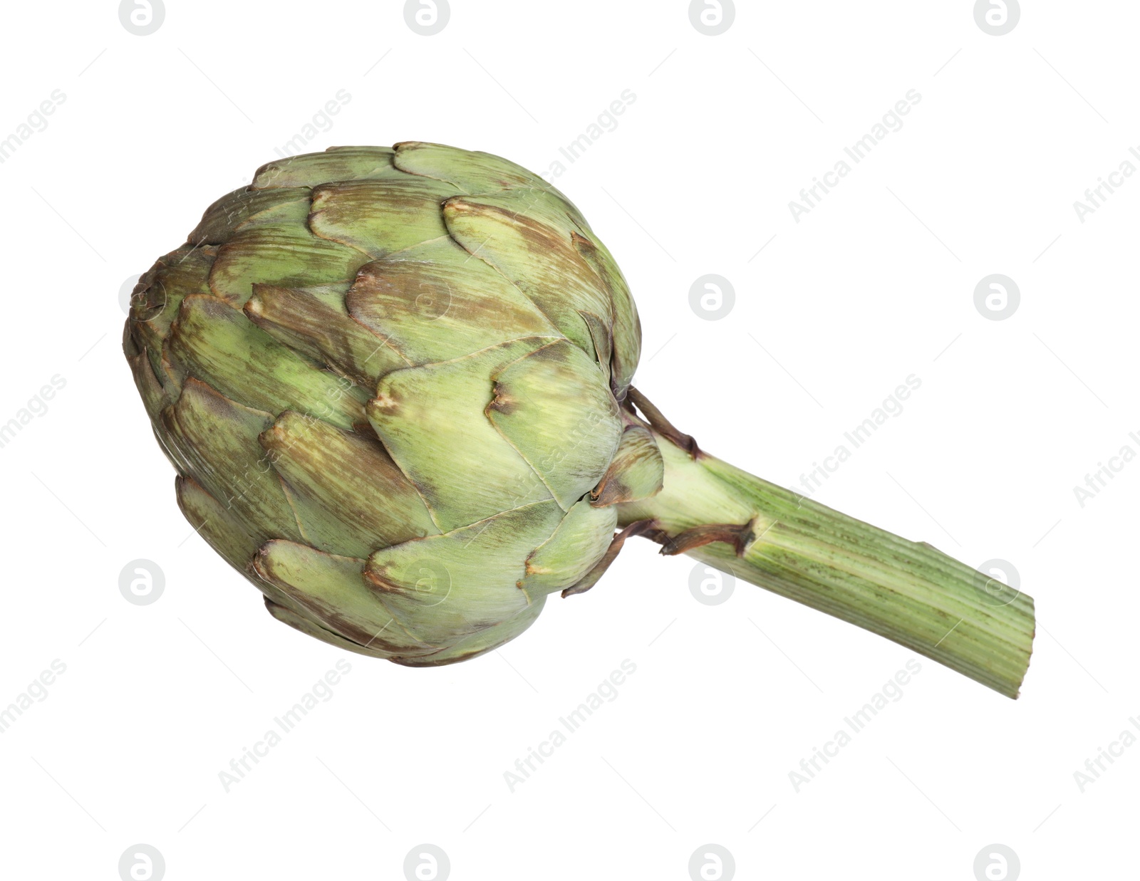 Photo of Whole fresh raw artichoke isolated on white