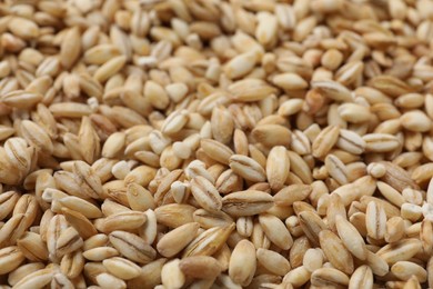 Photo of Dry pearl barley as background, closeup view