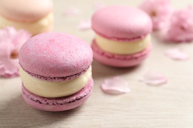 Photo of Pink macarons and flowers on white wooden table, space for text