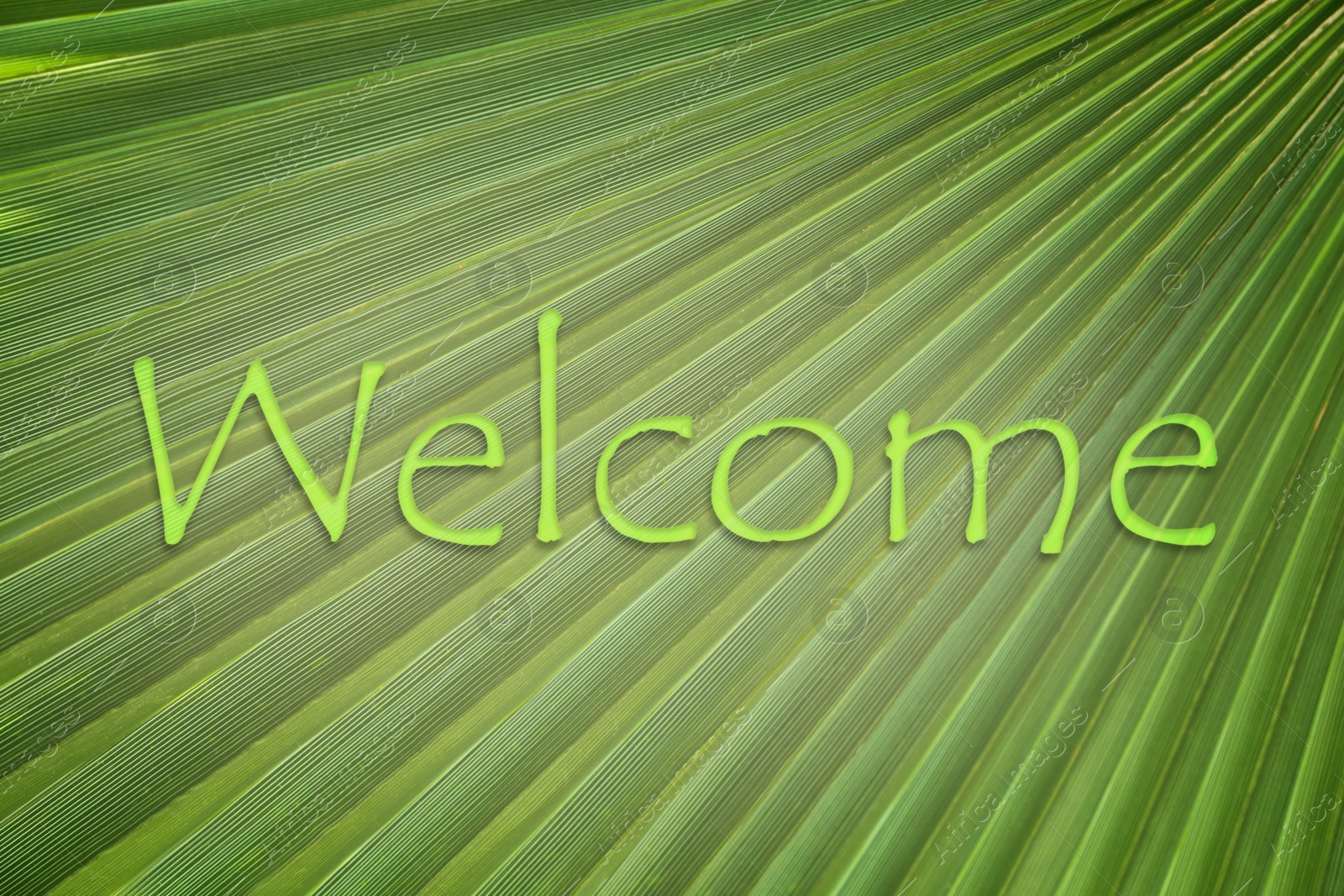 Image of Word WELCOME and palm leaf as background, closeup