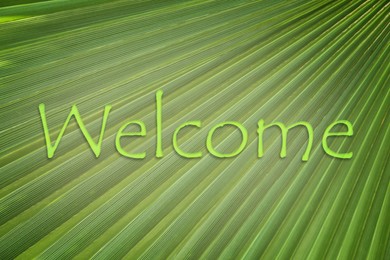 Image of Word WELCOME and palm leaf as background, closeup