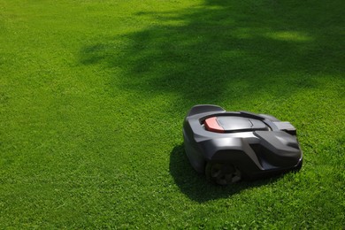 Modern robot lawn mower on green grass in garden