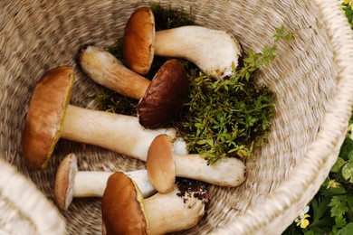 Photo of Wicker basket with fresh wild mushrooms outdoors, above view