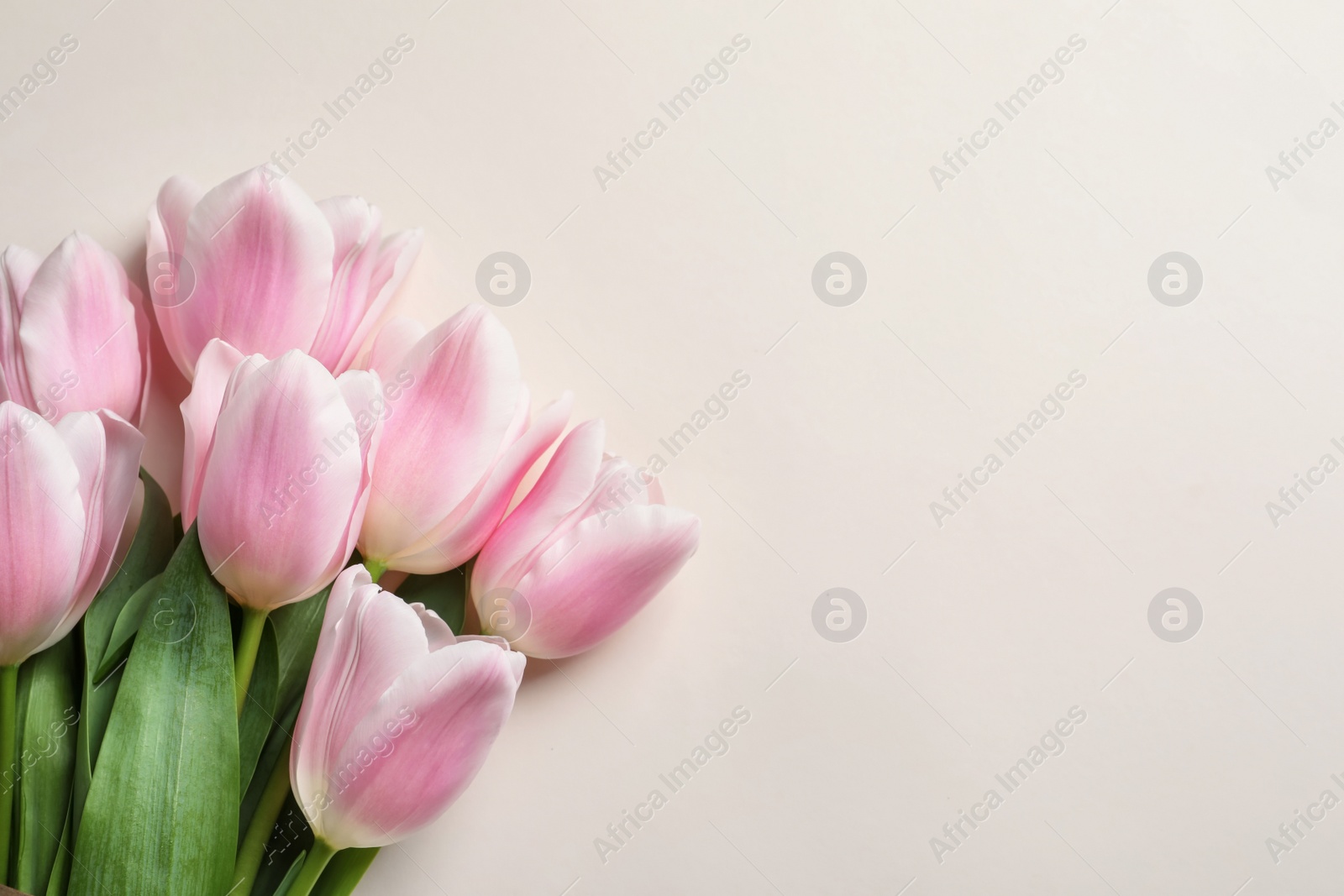 Photo of Beautiful tulips for Mother's Day on light background, top view