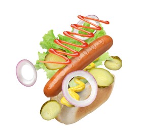 Hot dog ingredients in air on white background