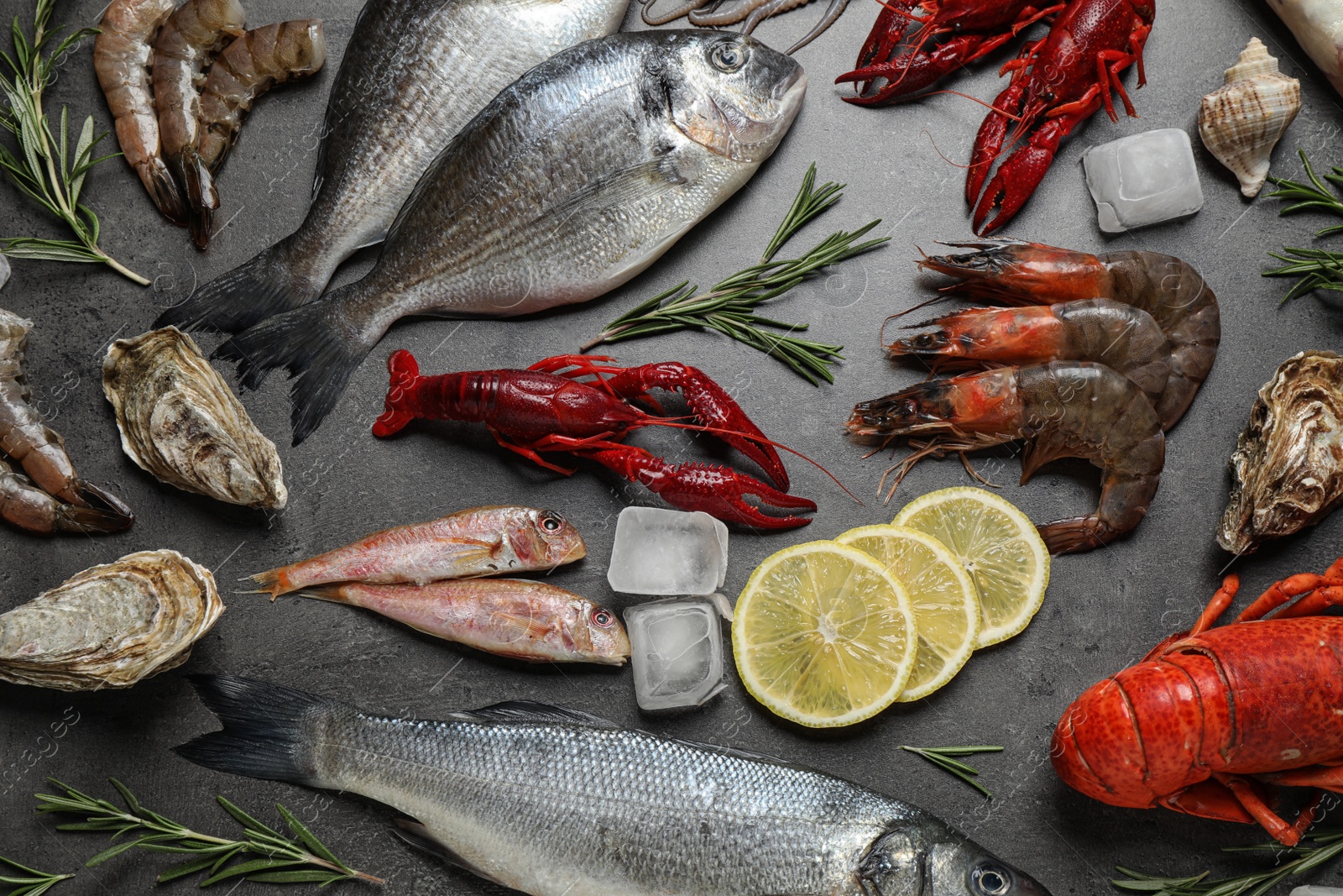 Photo of Fresh fish and seafood on grey table, flat lay