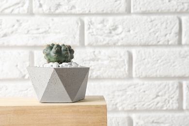 Beautiful succulent plant in stylish flowerpot on wooden table near white brick wall, space for text. Home decor