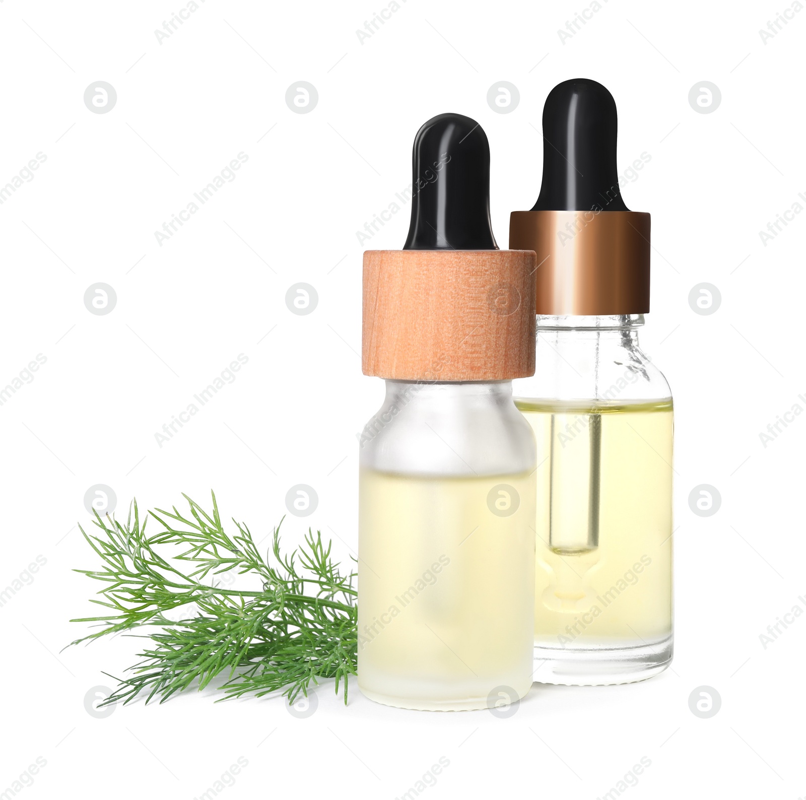 Photo of Bottles of essential oil and fresh dill isolated on white