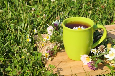 Green cup with tea, different wildflowers and herbs on wooden board in meadow. Space for text