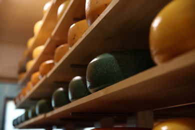 Photo of Fresh cheese heads on rack in factory warehouse, closeup