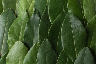 Photo of Many fresh bay leaves as background, flat lay