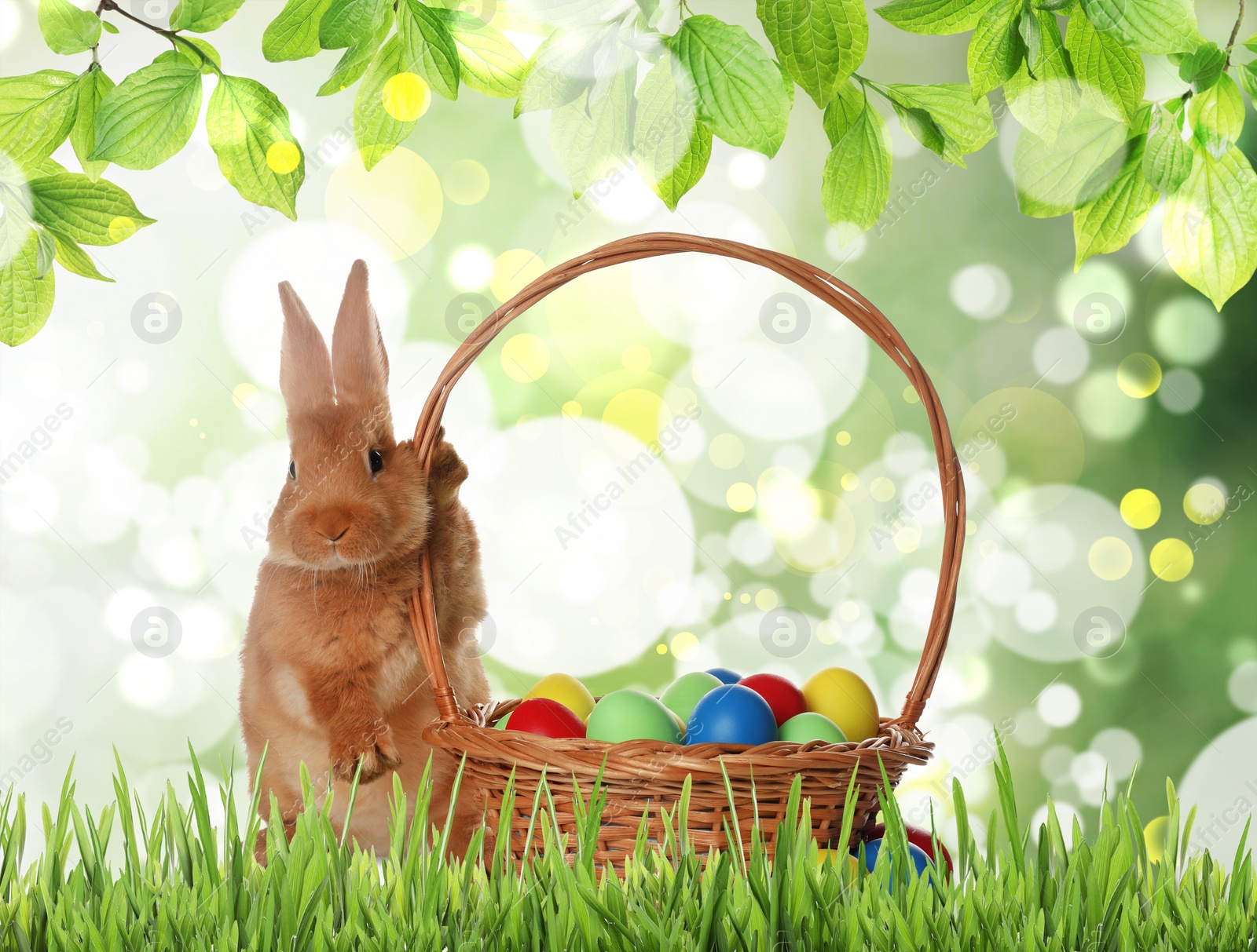 Image of Cute bunny and wicker basket with colorful Easter eggs on green grass outdoors