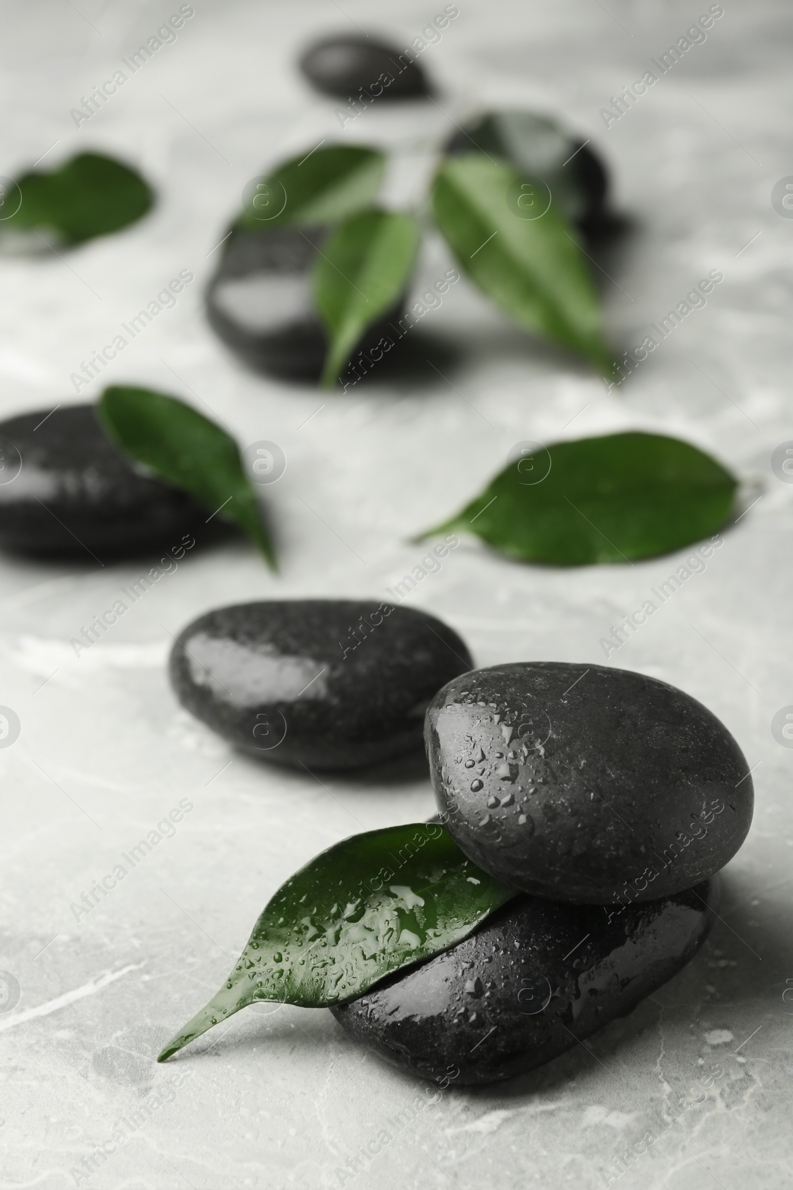 Photo of Wet spa stones and green leaves on grey background. Space for text