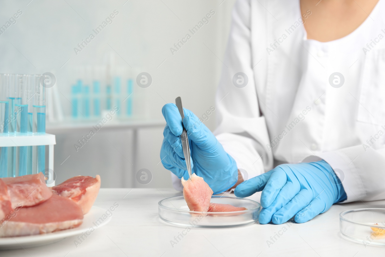 Photo of Scientist with raw meat at table in laboratory, closeup. Poison detection