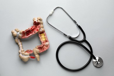 Photo of Anatomical model of large intestine and stethoscope on grey background, flat lay. Gastroenterology