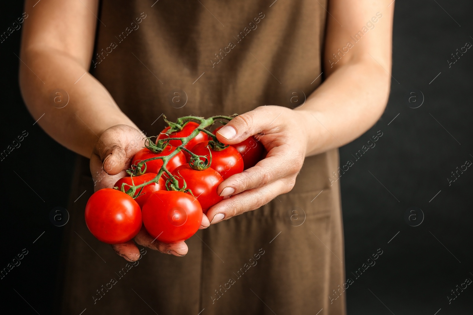 Photo of Farmer holding ripe tomatoes in hands, closeup