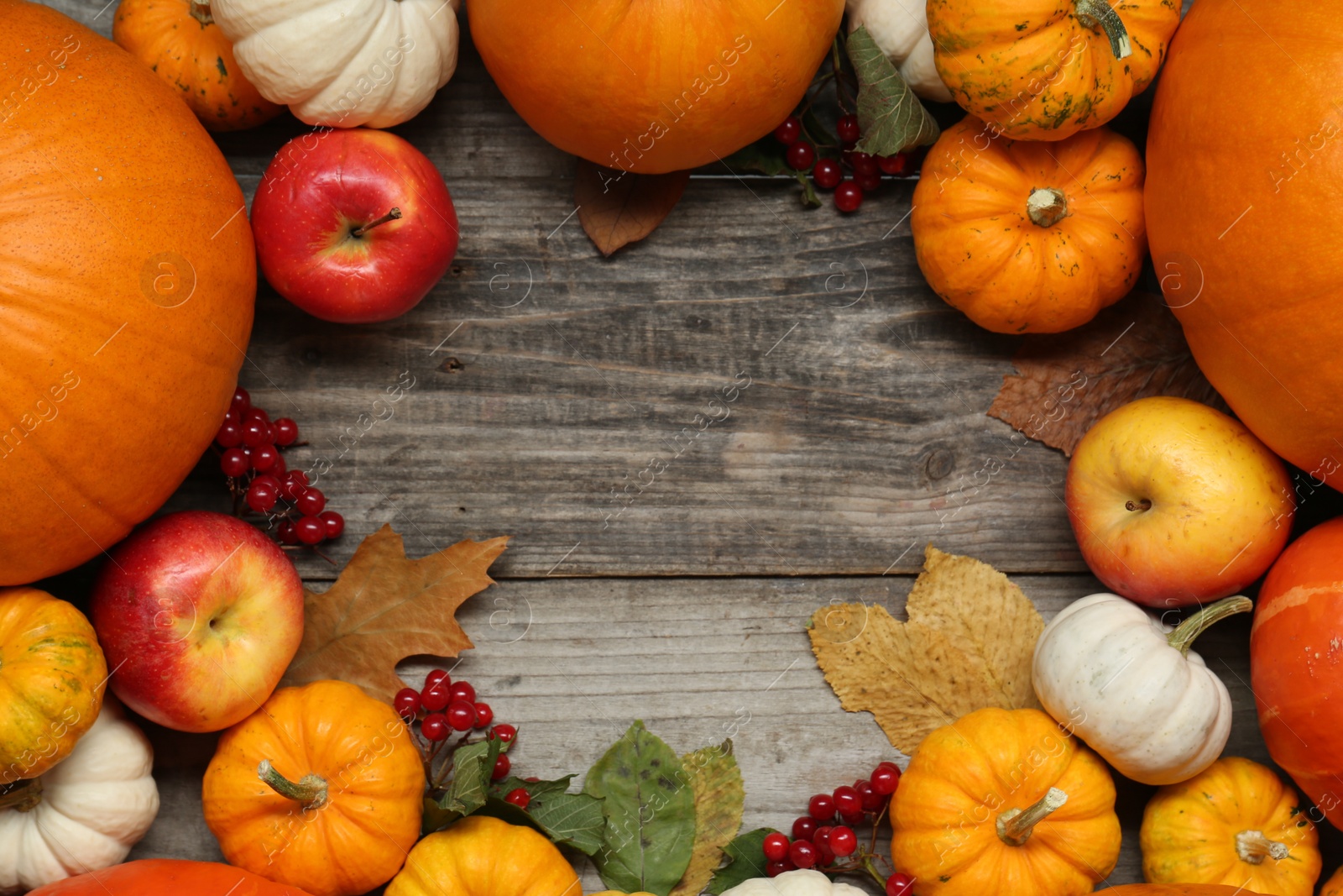 Photo of Thanksgiving day. Frame of pumpkins and apples on wooden table, flat lay with space for text