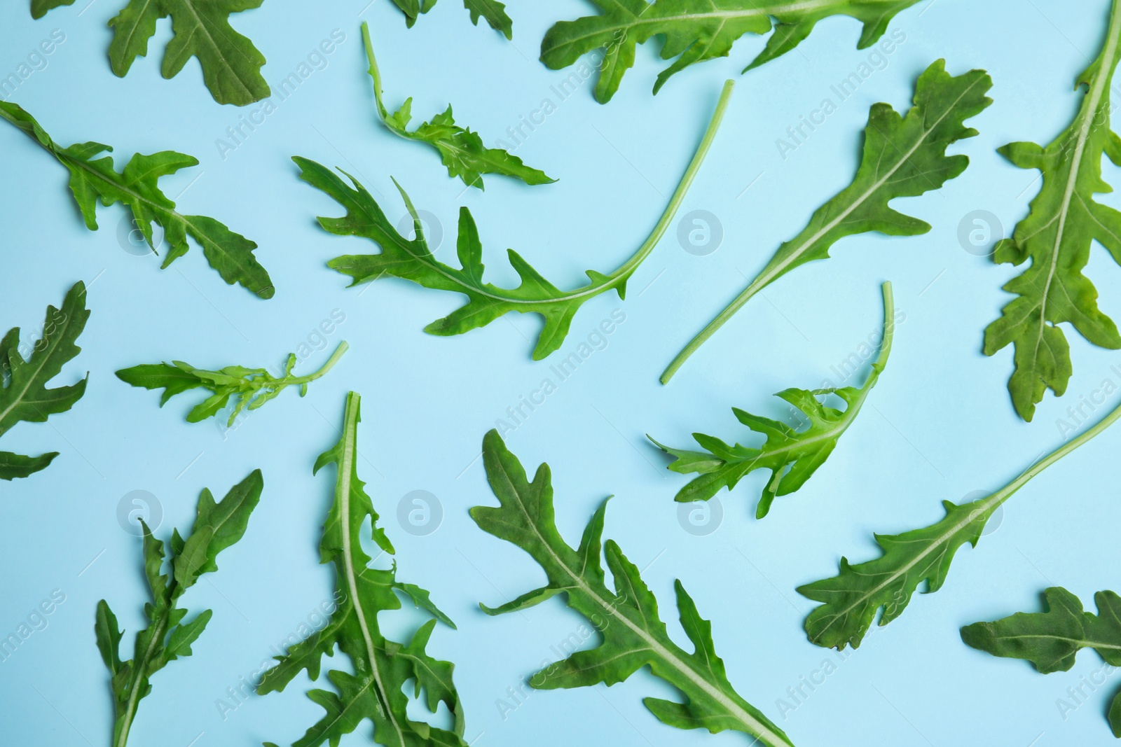 Photo of Fresh arugula on light blue background, flat lay