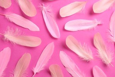 Beautiful feathers on light pink background, flat lay