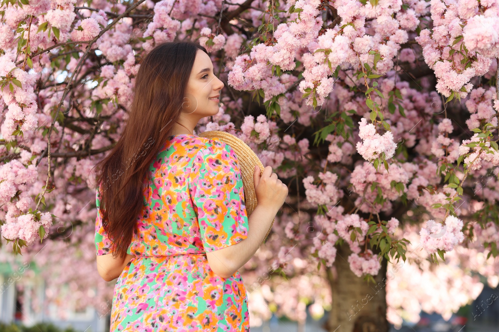 Photo of Beautiful woman with straw hat near blossoming tree on spring day